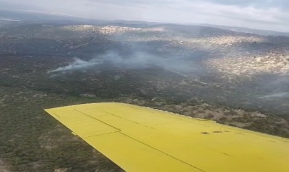 Manisadaki orman yangınına müdahale devam ediyor