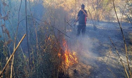 Mardinde ormanlık alanda çıkan yangın devam ediyor