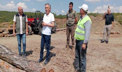 Müdür Erdal Dingil: Orman yangınlarına karşı daha duyarlı olmalıyız