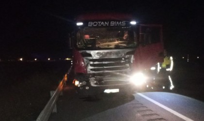 Muşta trafik kazası: 1 yaralı