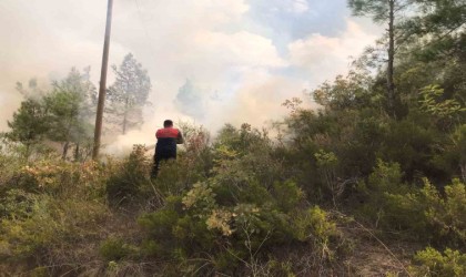 Osmaniyede ormanlık alanda çıkan yangın büyümeden söndürüldü