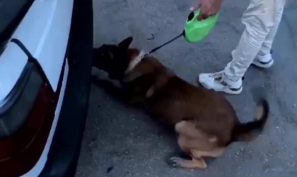 Otomobilin yedek lastiğinden uyuşturucu madde çıktı