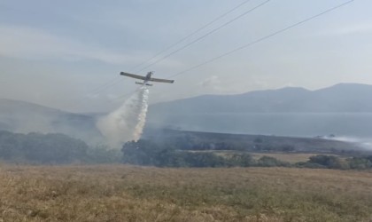 Paşalimanı Adasında yangın...Karadan ve havadan müdahale sürüyor