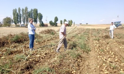 Patates üreticileri bilgilendirildi