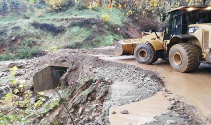 Sasonda şiddetli yağış sel ve heyelana neden oldu, köy yolları ulaşıma kapandı