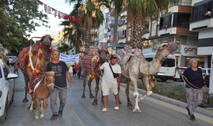 Silifkede festival coşkusu