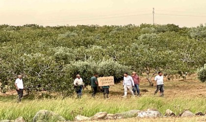 Suruçta köylülerden Şanlıurfa Büyükşehir Belediyesine imar tepkisi