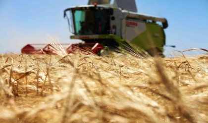 Tarım başkenti Konya, 11 üründe üretim miktarı olarak Türkiyede birinci