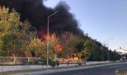 Tekirdağda 3 ayda 50 fabrika yandı: Sanayi yangınları ürpertici boyuta ulaştı