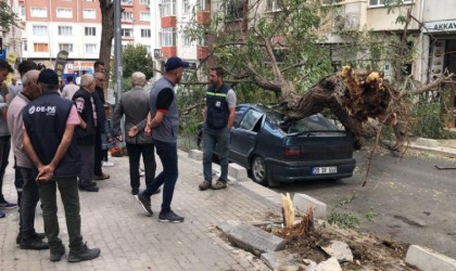 Üzerine ağaç devrilen otomobil hurdaya döndü: O anlar kamerada