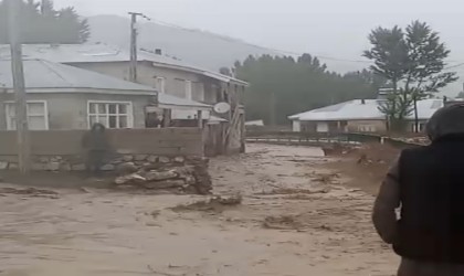 Vanda sağanak sele neden oldu