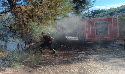 Yayladağında örtü yangını