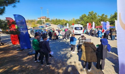 Afyonkarahisarda ormanlar temizlendi