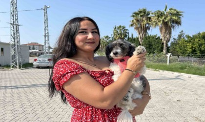 Aylardır sahibine ulaşılamayan Şilanın yeni yuvası depremzede ailenin konteyneri oldu