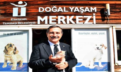 Başkan Ataç Hayvanları Koruma Günü mesajı yayınladı