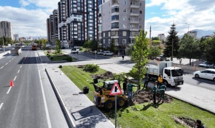 Başkan Çolakbayrakdar: Gelecek için yapılacak en önemli yatırım ağaç dikmektir