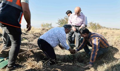 Başkan Yalçın: Diktiğiniz fidanlar dünyaya iyilik olarak yansıyacak