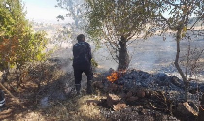 Başkan Yıldırımdan orman yangınlarına karşı vatandaşları uyardı