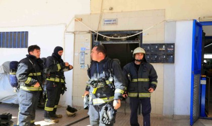 Bodrum katta çıkan yangın sonrası yavru kedi alarmı