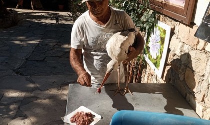 Bulgaristandan Kuşadasına gelen yaralı leylek tedavi edilip, doğaya salındı