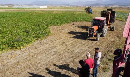 Burdurda şeker pancarı hasadında yüksek rekolte beklentisi