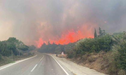 Çanakkalede ormanlara giriş yasağı 30 Kasıma kadar uzatıldı