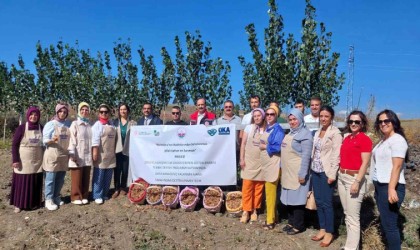 Çorumda “BizimOralı kadınların şifalı safran ve sarımsak projesine OKA desteği