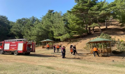 Dinardaki ormanlık alanlarda çöpler temizlendi