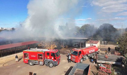 Edirnede çiftlik yangını: Samanlar ve çeltikler küle döndü