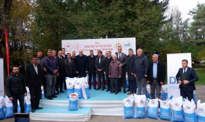 Erzurumda DAP desteğiyle 935 ton buğday tohumu dağıtıldı