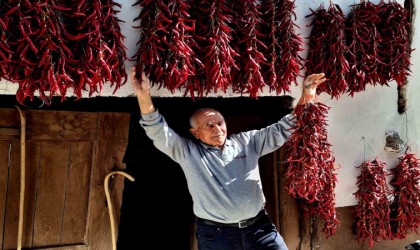 Fotoğraf tutkunları 160 yıldır aynı tohumdan üretilen Çukurören biberini görüntülemek için Bilecike geldi