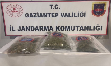 Gaziantepte 1 kilo esrar ele geçirildi