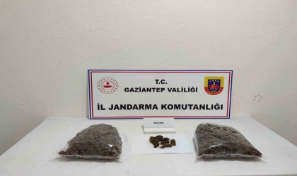 Gaziantepte 5 kilo skunk ele geçirildi: 1 şahıs tutuklandı