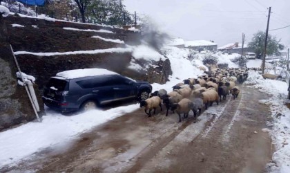 Giresunda kar yağışı nedeniyle mahsur kalan çobanlar kurtarıldı