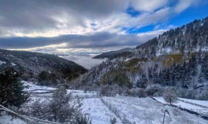 Gümüşhanede kar ve sis buluştu ortaya tablo gibi bir fotoğraf çıktı