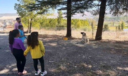 Hisarcıkta özel öğrencilere hayvanlar tanıtıldı