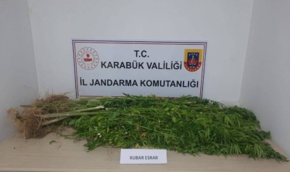 Karabükte 11 kilo 800 gram kubar esrar ele geçirildi