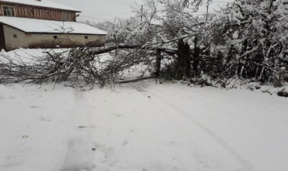 Kastamonuda ekiplerin karla mücadelesi erken başladı