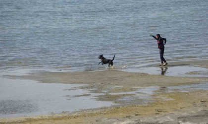 Kayıp öğrenci Rojin için AFADdan köpekli arama