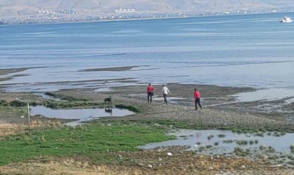 Kayıp üniversite öğrencisini arama çalışmalarına jandarma sualtı kadavra arama köpeği katıldı