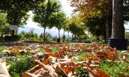 Kent Parkta sonbahar manzaraları mest etti