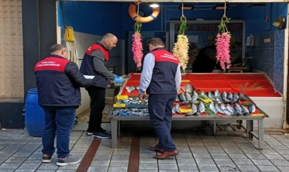 Kırklarelinde balıkçılar denetlendi