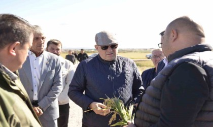 Milletvekili Gider, Bigada zarar gören tarım arazilerini inceledi