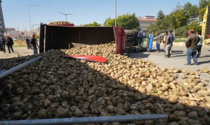 Muşta şeker pancarı yüklü traktör devrildi