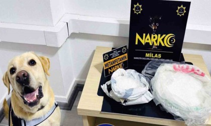 Narkotik köpeği ‘Çiko affetmiyor