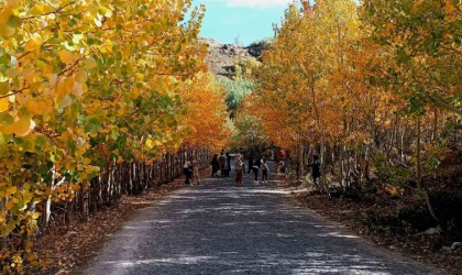 Nemrut Kalderasında sonbahar güzelliği