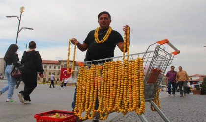 O sirkelerin şahı, sezon üretimi başladı