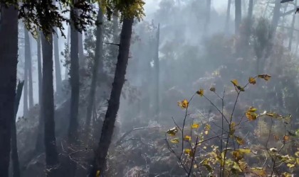 Orman yangınına müdahale çevre illerden destekle devam ediyor