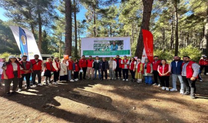 Osmaniyede ormanlık alanlar temizlendi