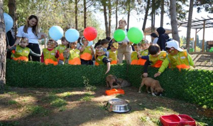 Pati Şenliğinde can dostlar ilgi odağı oldu